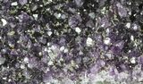 Purple Amethyst Geode - Uruguay #66692-3